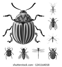 Vector illustration of insect and fly icon. Set of insect and element vector icon for stock.
