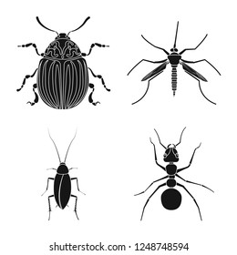 Vector illustration of insect and fly icon. Collection of insect and element stock vector illustration.