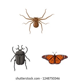 Vector illustration of insect and fly icon. Set of insect and element stock symbol for web.