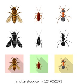 Vector illustration of insect and fly icon. Collection of insect and element stock vector illustration.