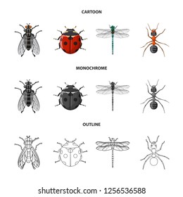 Vector illustration of insect and fly icon. Collection of insect and element vector icon for stock.