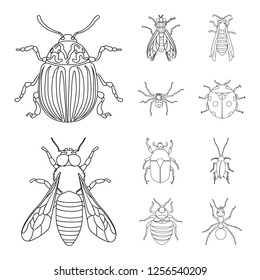 Vector illustration of insect and fly icon. Set of insect and element vector icon for stock.