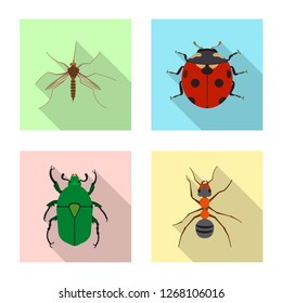 Vector illustration of insect and fly icon. Collection of insect and element stock vector illustration.