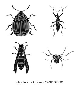 Vector illustration of insect and fly icon. Collection of insect and element vector icon for stock.