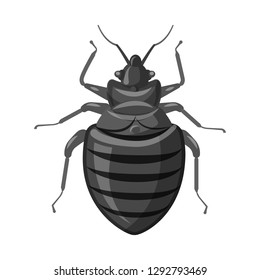 Vector illustration of insect and fly icon. Collection of insect and element vector icon for stock.