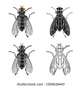 Drosophila Fly Icon Set Vector Stock Vector (Royalty Free) 1494084947