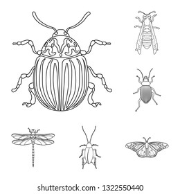 Vector illustration of insect and fly icon. Set of insect and element stock symbol for web.