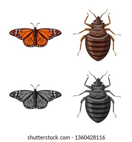 Vector illustration of insect and fly icon. Set of insect and element stock vector illustration.