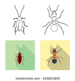 Vector illustration of insect and fly icon. Collection of insect and element stock symbol for web.