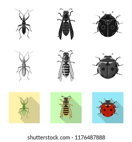 Vector illustration of insect and fly logo. Set of insect and element vector icon for stock.