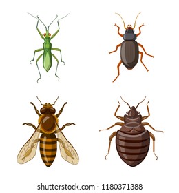 Vector illustration of insect and fly logo. Collection of insect and element stock symbol for web.