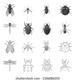 Vector illustration of insect and fly logo. Set of insect and element stock symbol for web.