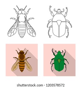 Vector illustration of insect and fly logo. Collection of insect and element vector icon for stock.