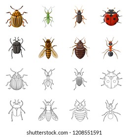 Vector illustration of insect and fly logo. Set of insect and element stock vector illustration.