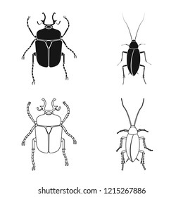 Vector illustration of insect and fly logo. Collection of insect and element stock symbol for web.