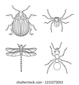 Vector illustration of insect and fly logo. Set of insect and element stock vector illustration.