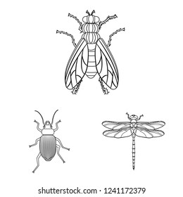 Vector illustration of insect and fly logo. Set of insect and element stock vector illustration.