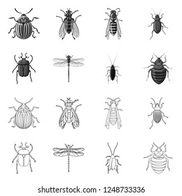 Vector illustration of insect and fly logo. Collection of insect and element stock vector illustration.