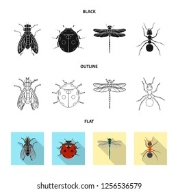 Vector illustration of insect and fly logo. Set of insect and element stock vector illustration.