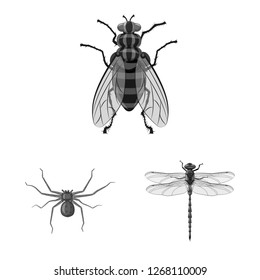 Vector illustration of insect and fly logo. Set of insect and element vector icon for stock.