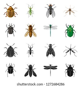 Vector illustration of insect and fly logo. Collection of insect and element stock symbol for web.