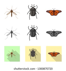 Vector illustration of insect and fly logo. Collection of insect and element stock symbol for web.