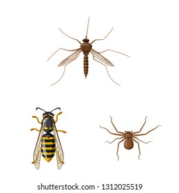 Vector illustration of insect and fly logo. Set of insect and element stock symbol for web.