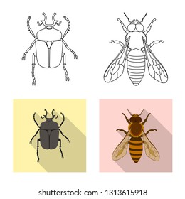 Vector illustration of insect and fly logo. Collection of insect and element stock vector illustration.