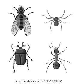 Vector illustration of insect and fly logo. Set of insect and element vector icon for stock.
