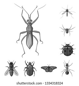 Vector illustration of insect and fly logo. Collection of insect and element vector icon for stock.