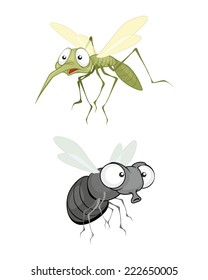 Vector illustration of a insect, fly and mosquito