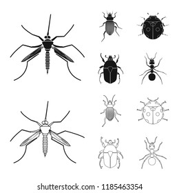 Vector illustration of insect and fly sign. Set of insect and element vector icon for stock.