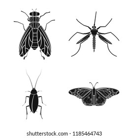 Vector illustration of insect and fly sign. Set of insect and element stock vector illustration.
