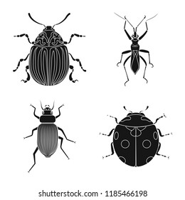 Vector illustration of insect and fly sign. Set of insect and element stock symbol for web.