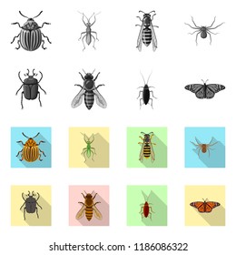 Vector illustration of insect and fly sign. Collection of insect and element stock vector illustration.