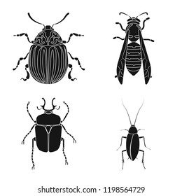 Vector illustration of insect and fly sign. Set of insect and element stock vector illustration.