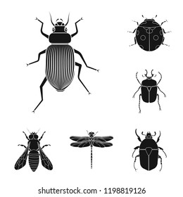 Vector illustration of insect and fly sign. Collection of insect and element stock vector illustration.