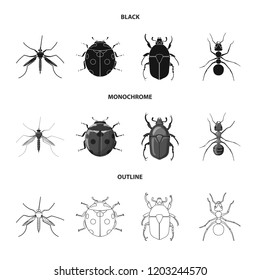 Vector illustration of insect and fly sign. Set of insect and element vector icon for stock.
