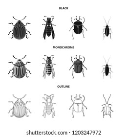 Vector illustration of insect and fly sign. Collection of insect and element stock vector illustration.