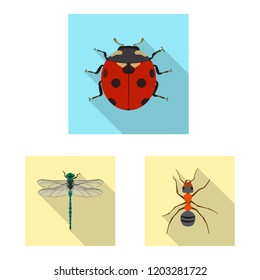 Vector illustration of insect and fly sign. Set of insect and element stock symbol for web.