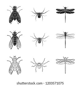 Vector illustration of insect and fly sign. Set of insect and element stock vector illustration.
