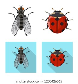 Vector illustration of insect and fly sign. Set of insect and element vector icon for stock.
