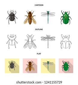Vector illustration of insect and fly sign. Collection of insect and element stock vector illustration.