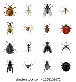 Vector illustration of insect and fly sign. Collection of insect and element stock symbol for web.