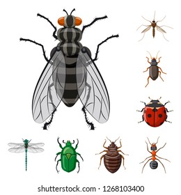 Vector illustration of insect and fly sign. Collection of insect and element stock vector illustration.