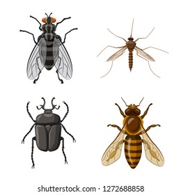 Vector illustration of insect and fly sign. Collection of insect and element stock vector illustration.