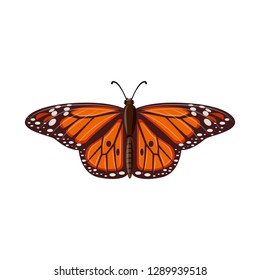 Vector illustration of insect and fly sign. Set of insect and element stock vector illustration.