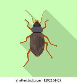 Vector illustration of insect and fly sign. Set of insect and element vector icon for stock.