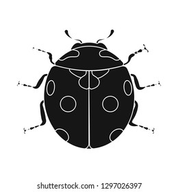 Vector illustration of insect and fly sign. Collection of insect and element stock symbol for web.
