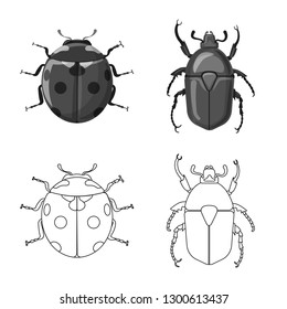 Vector illustration of insect and fly sign. Set of insect and element stock symbol for web.